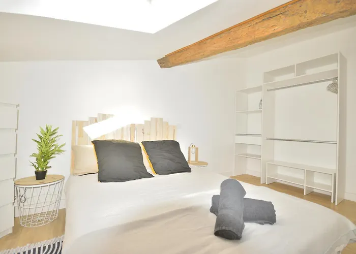 Le Wlerick 8- Hyper Centre - Au Calme -wifi Apartment Mont-de-Marsan