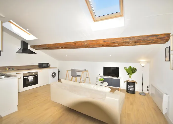 Le Wlerick 8- Hyper Centre - Au Calme -wifi Mont-de-Marsan