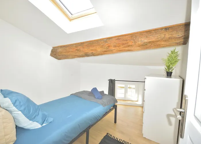 Apartment Le Wlerick 8- Hyper Centre - Au Calme -wifi Mont-de-Marsan